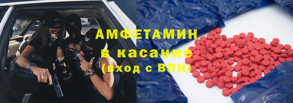 ГАЛЛЮЦИНОГЕННЫЕ ГРИБЫ Аркадак