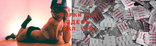 твердый Арсеньев