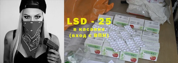 ГАЛЛЮЦИНОГЕННЫЕ ГРИБЫ Аркадак