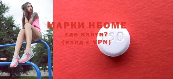 ГАЛЛЮЦИНОГЕННЫЕ ГРИБЫ Аркадак