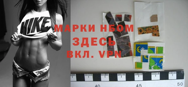 твердый Надым