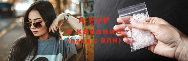 твердый Арсеньев