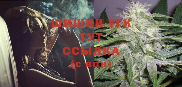 твердый Арсеньев