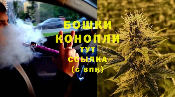 гидра Армянск