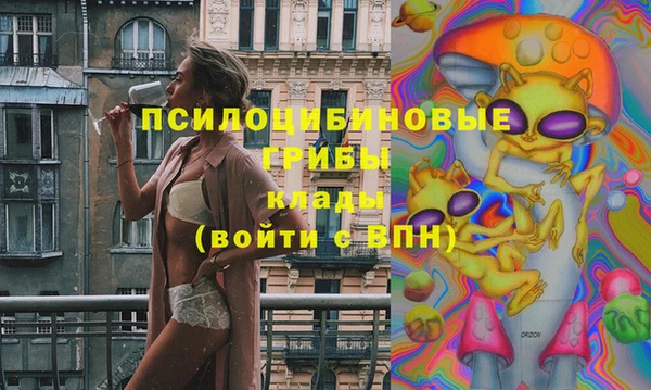 ГАЛЛЮЦИНОГЕННЫЕ ГРИБЫ Аркадак