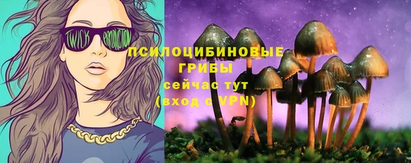 гидра Армянск